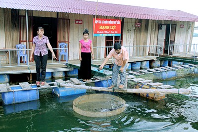 Mô hình Hợp tác xã trong xây dựng Nông thôn mới ở Sơn La - ảnh 1